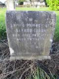 image of grave number 363731